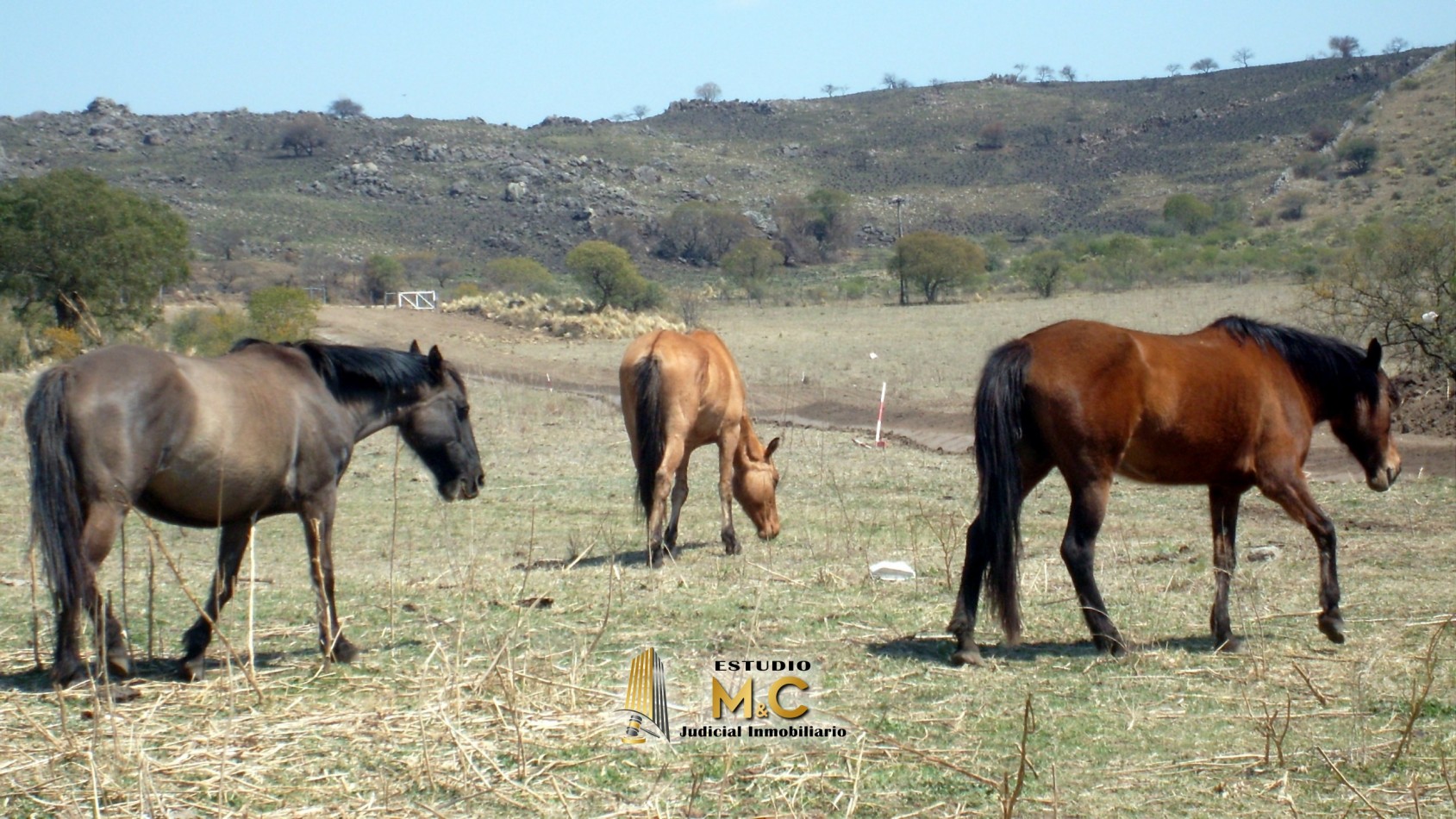 Fraccion 1.49 Has en Loteo de Chacras Serranas